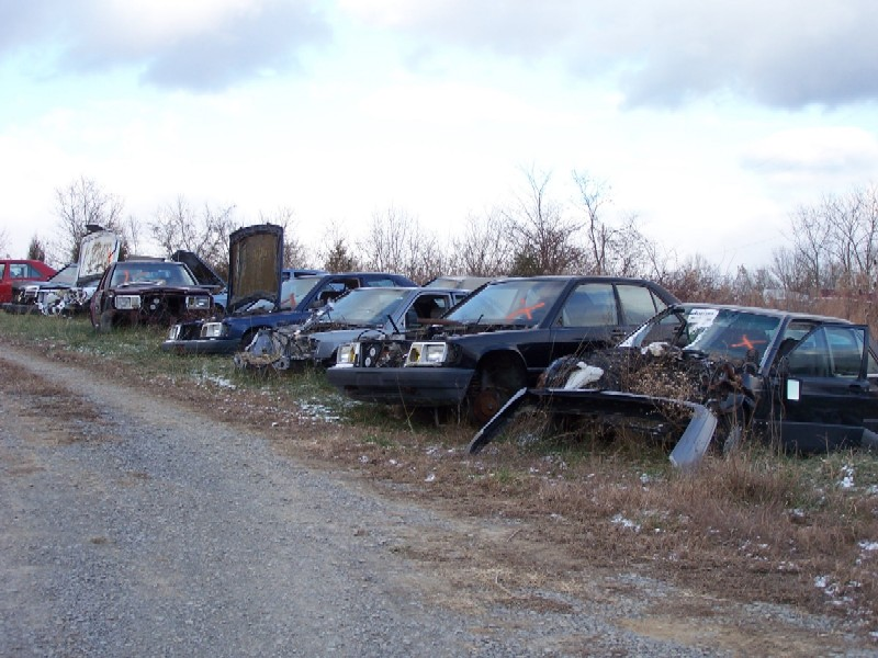 Illustration for article titled Over 1,000 Vintage Mercedes-Benzes Await The Cruel Jaws Of The Crusher In Kentucky